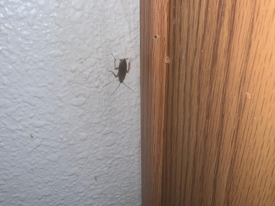 Extended Stay America Select Suites - Louisville - South主图