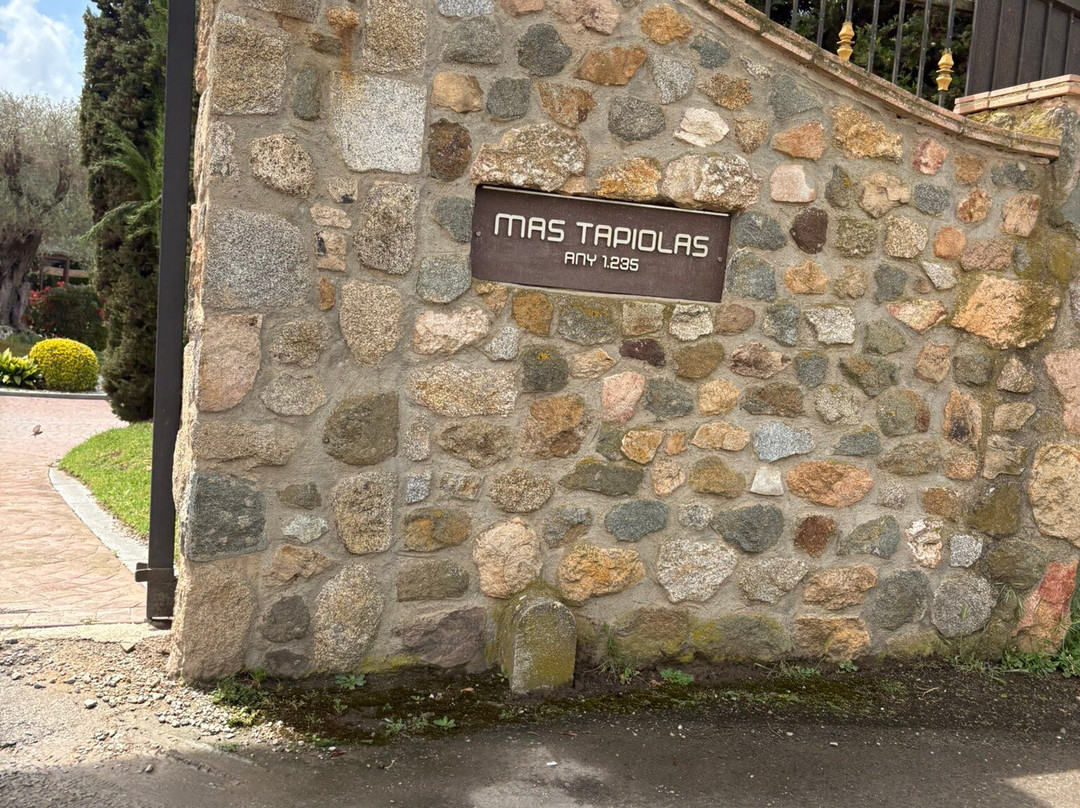 Suites Natura Mas Tapiolas主图