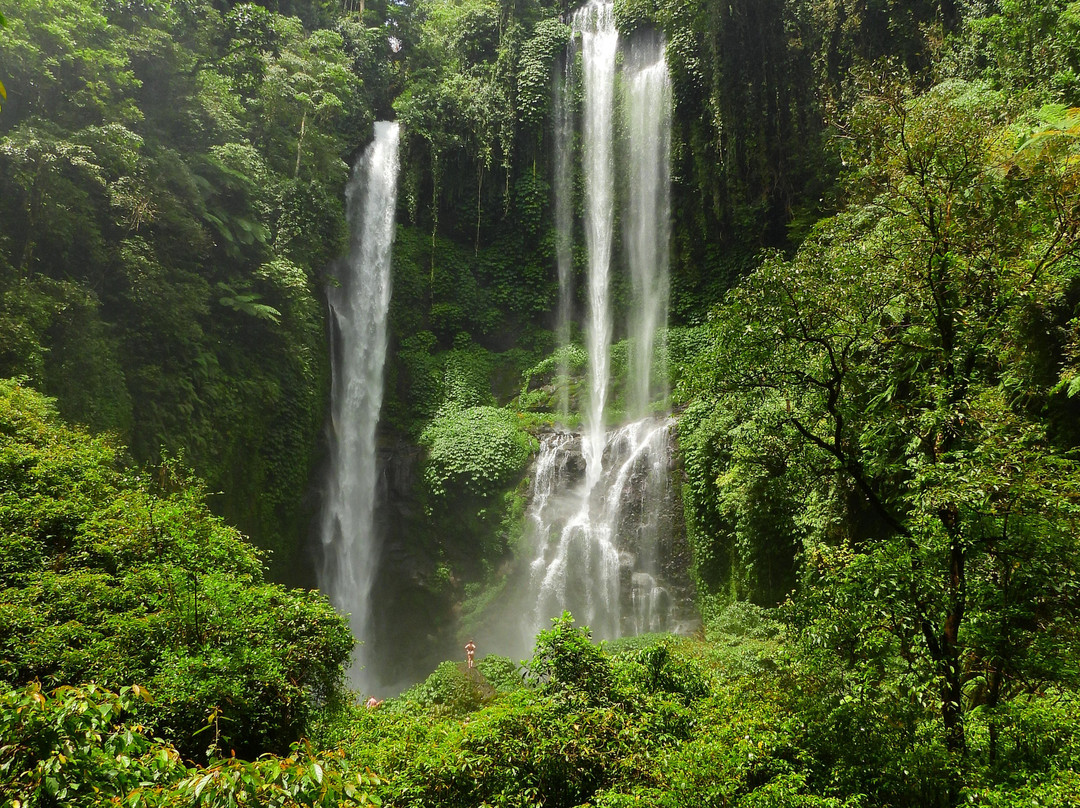 Sekumpul Accommodation主图