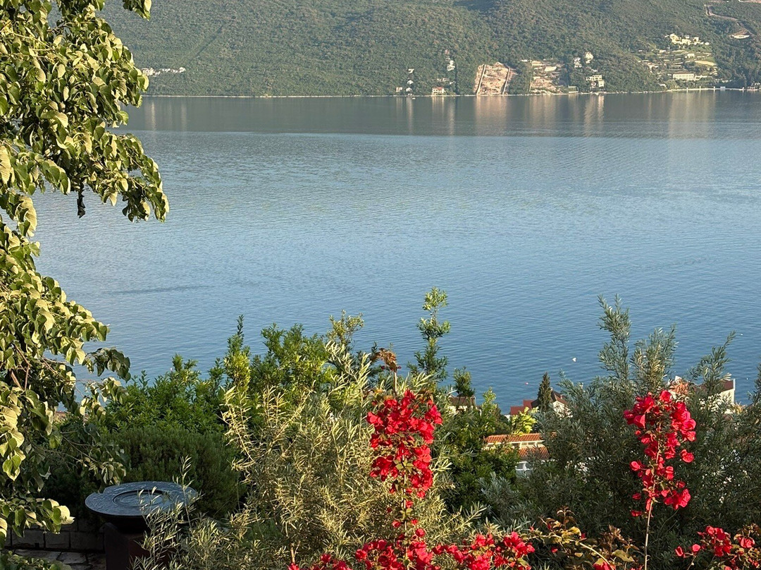 Savina Winery-赫尔采格诺维必去景点