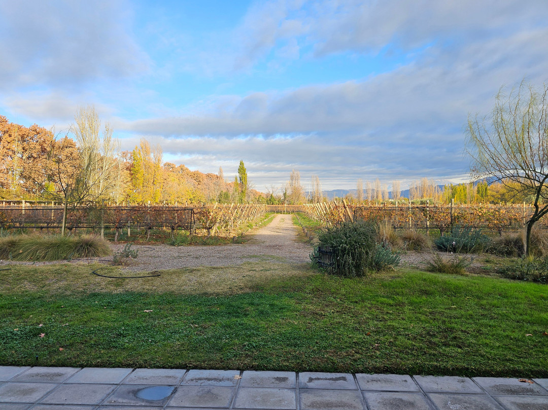 Casarena Bodega y Viñedos-路冉得库约必去景点