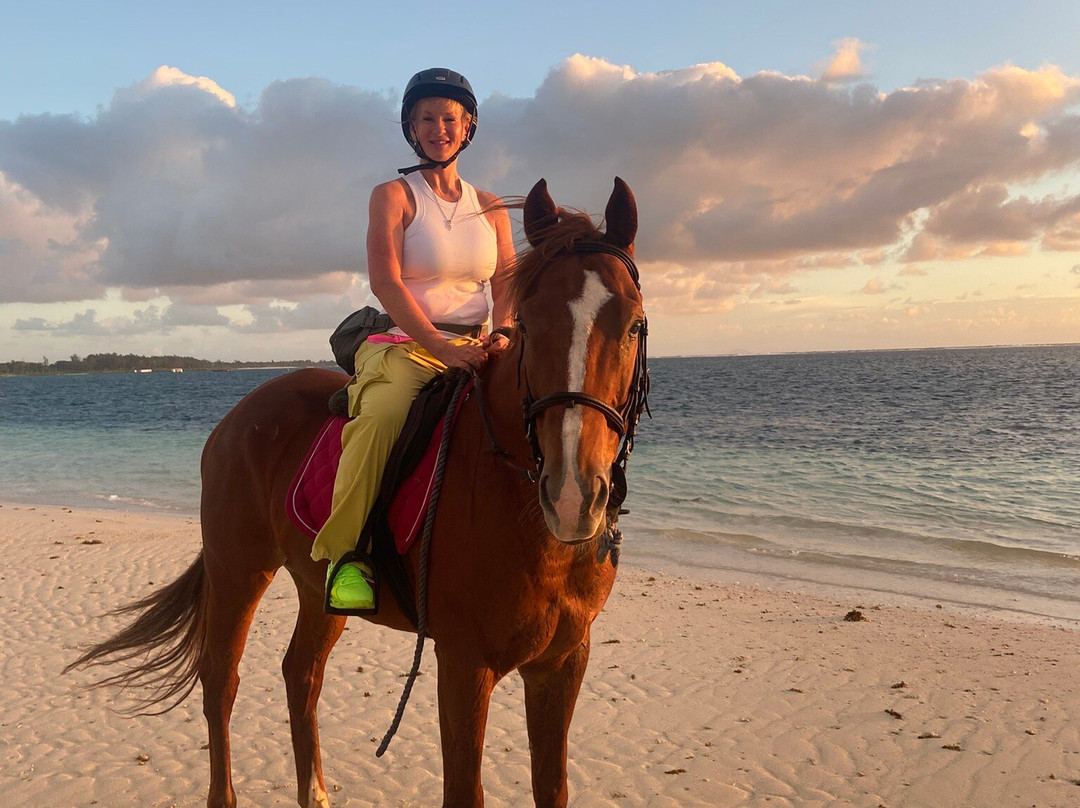 Legasea Stables Mauritius-Quatre Cocos必去景点