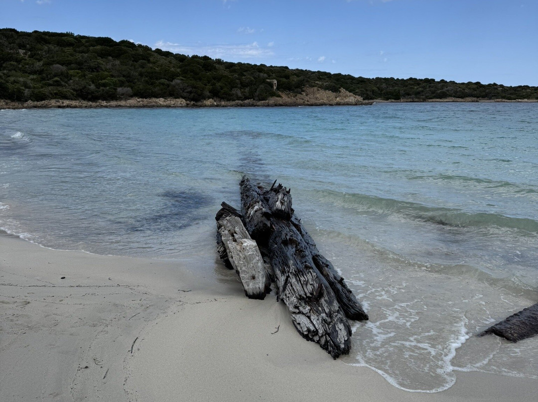 Spiaggia del Relitto-Caprera必去景点