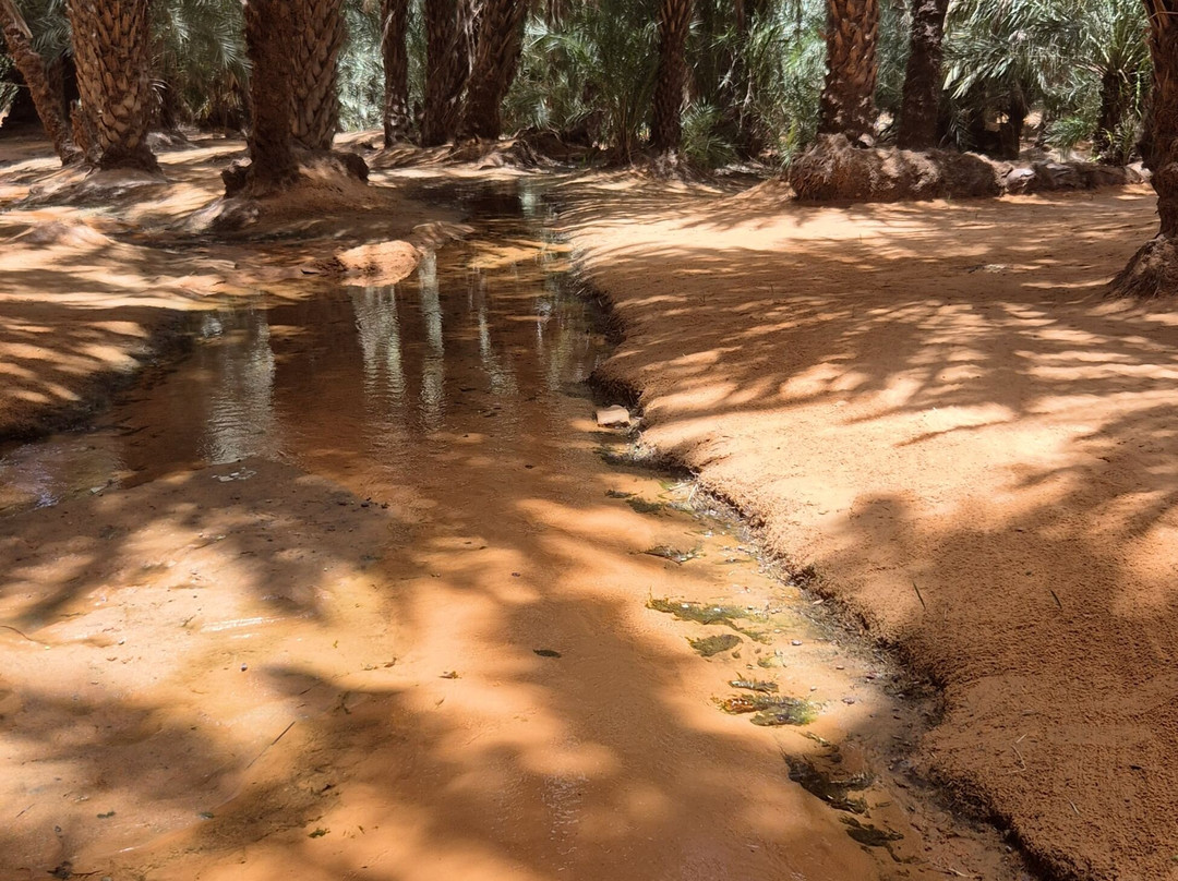 Mauritania Sahara-Boutilimit必去景点