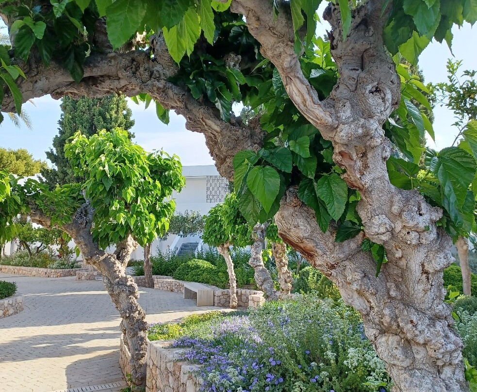 Hapimag Resort Porto Heli主图