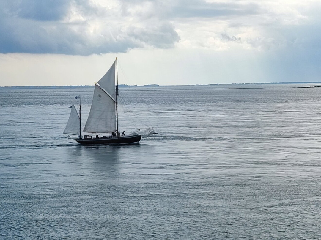 Port Saint-Jacques-Sarzeau必去景点
