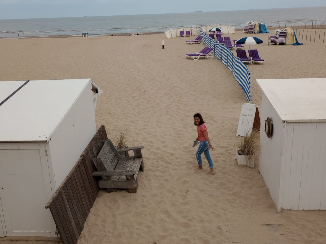 Beach De Haan-德韩必去景点