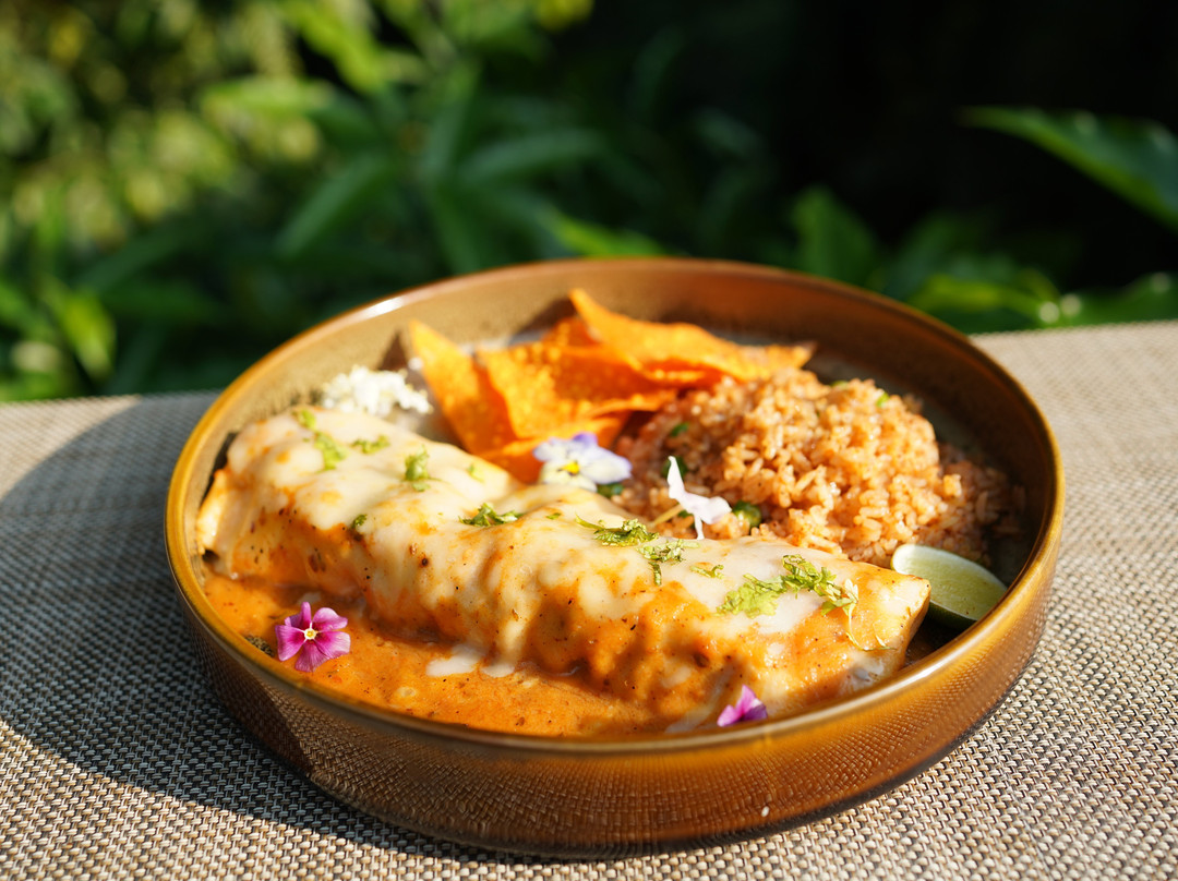 Casa De Lokha Mexican Grill And Fusion