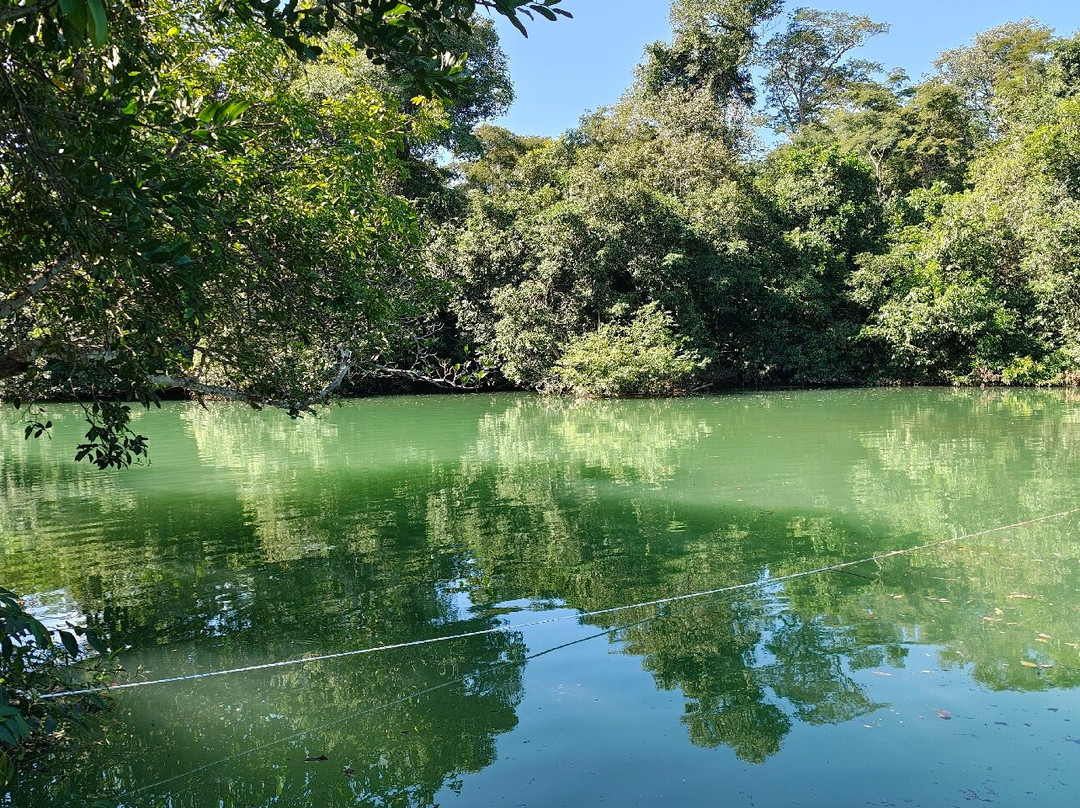 Alma Livre Viagens-库里提巴必去景点