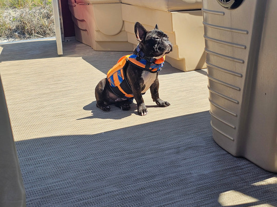 Hudson Marina-橙色海湾必去景点