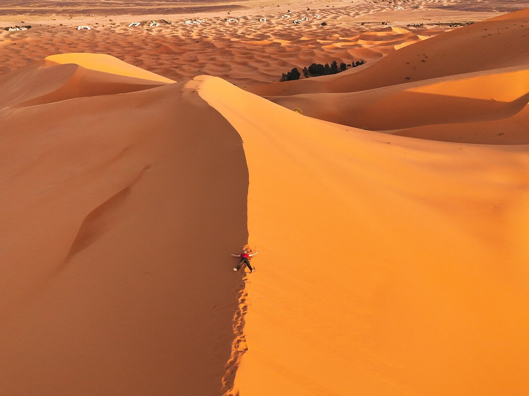 Sahara ATV Quad Adventures-梅如卡必去景点