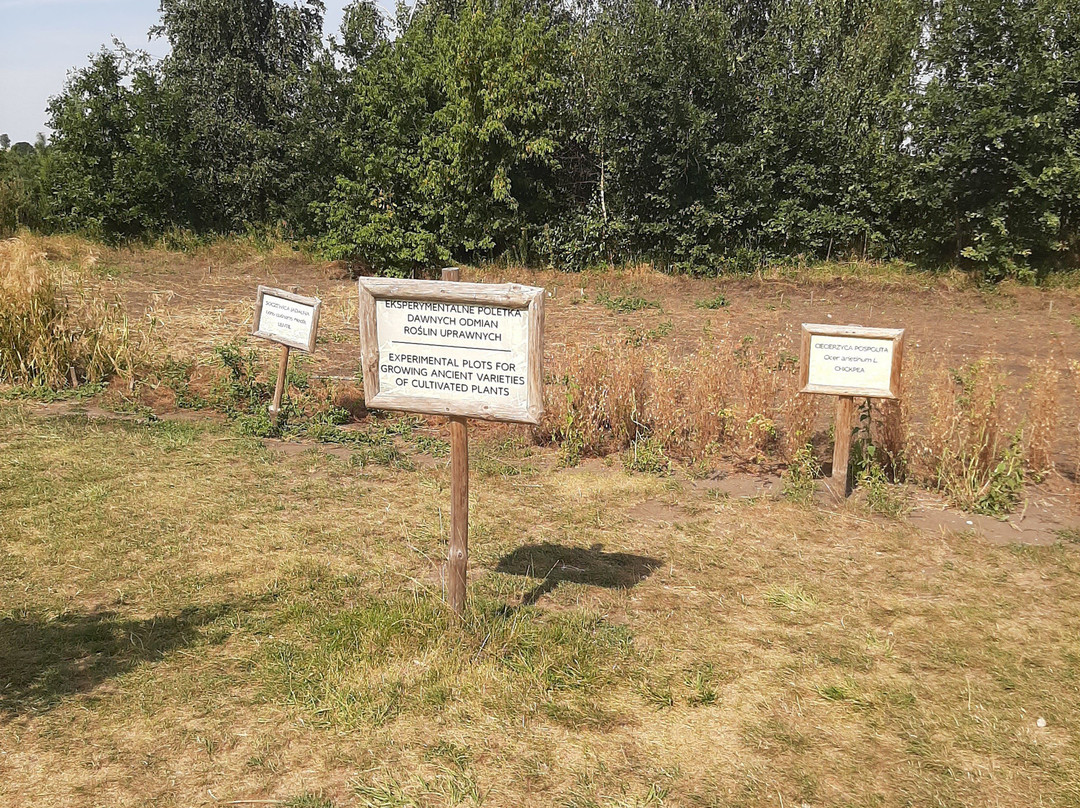 Muzeum Archeologiczne w Biskupinie-Biskupin必去景点