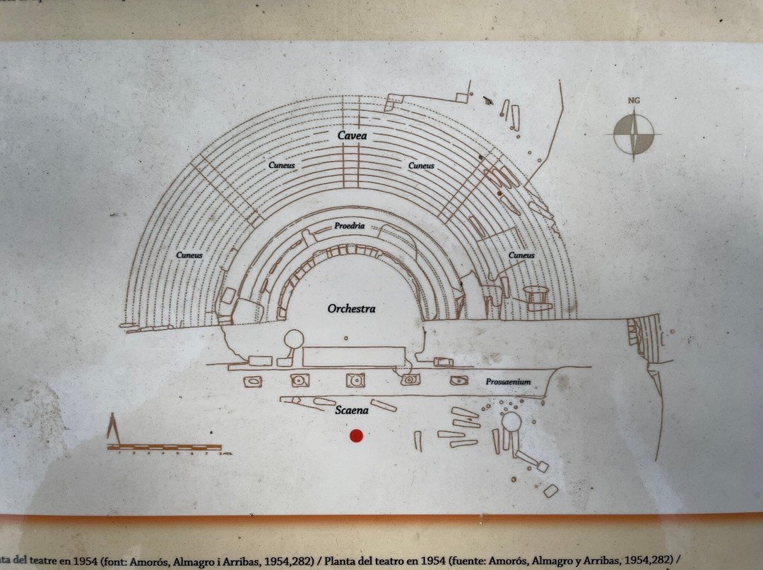 Museu Monogràfic de Pollèntia景点图片