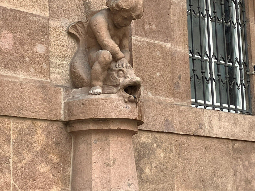South Tyrol Museum of Archaeology景点图片