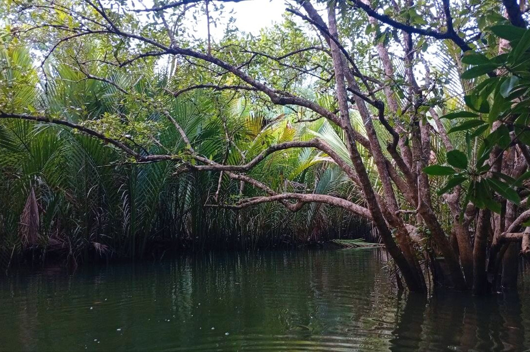 薄荷岛Kayakasia水上之旅-Maribojoc必去景点