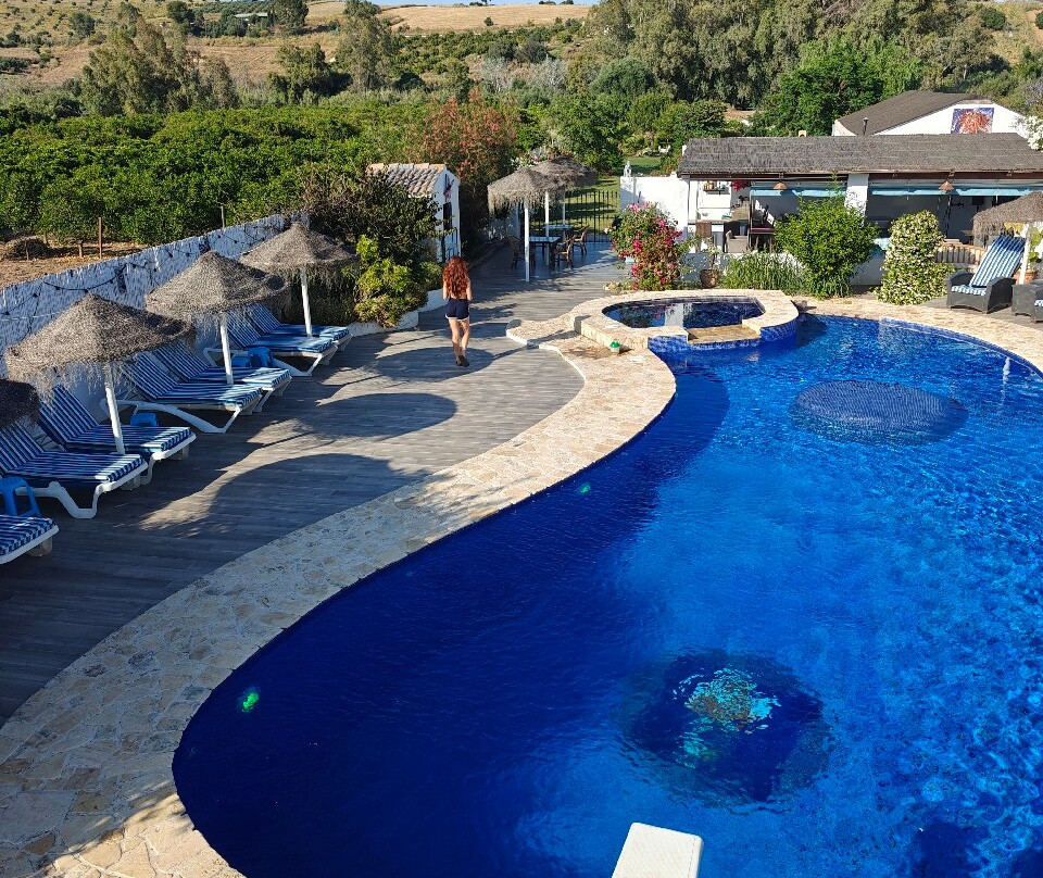 The Dragonfly-Coin必去景点