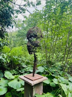 Hannah Peschar Sculpture Garden景点图片