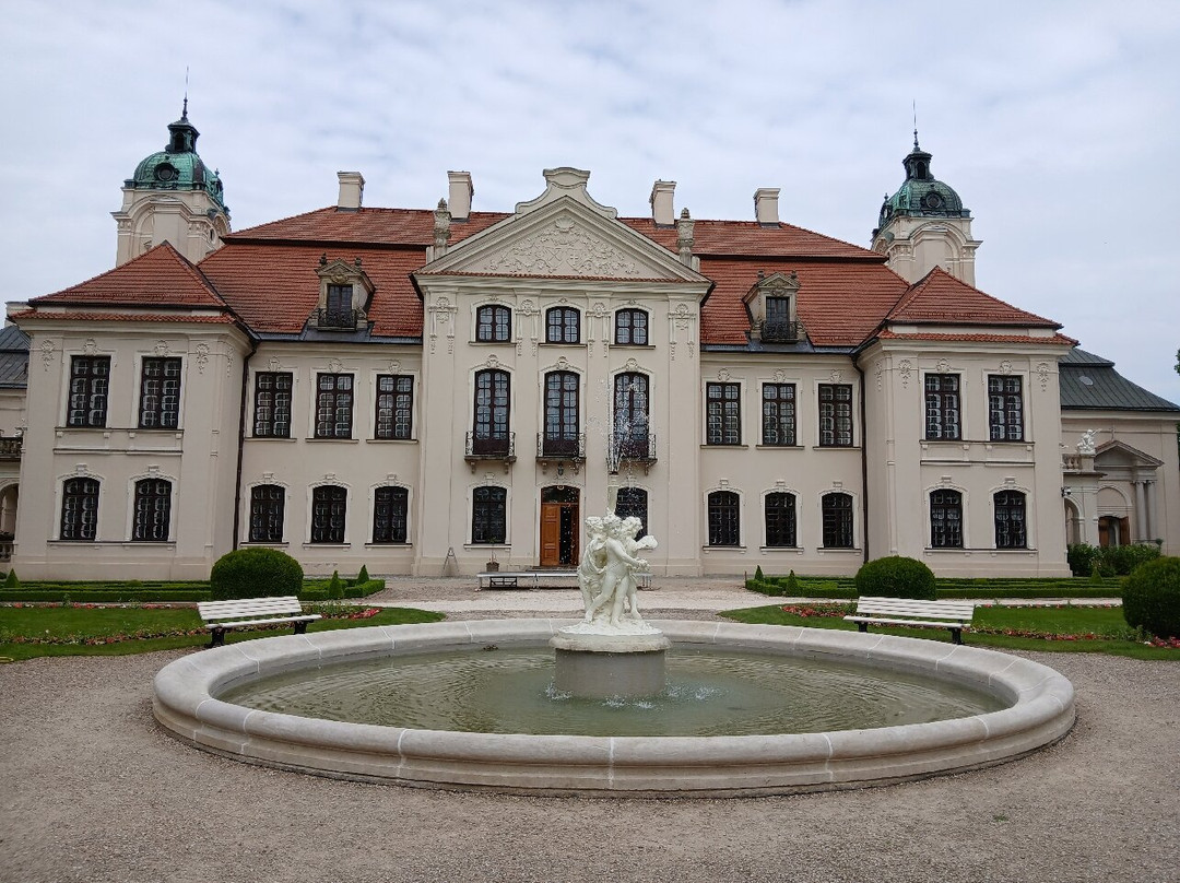 Zamoyski Palace Museum景点图片