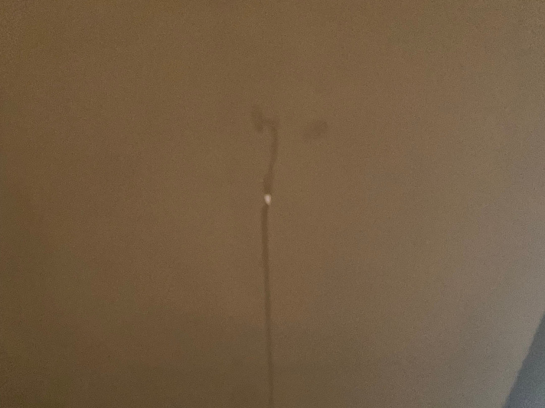 Adam Hotel Suites主图