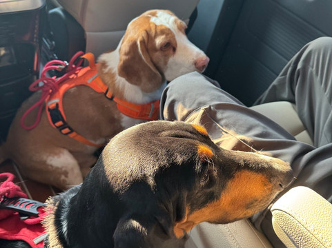 Mr Orange Transfers & Tours-上海市必去景点