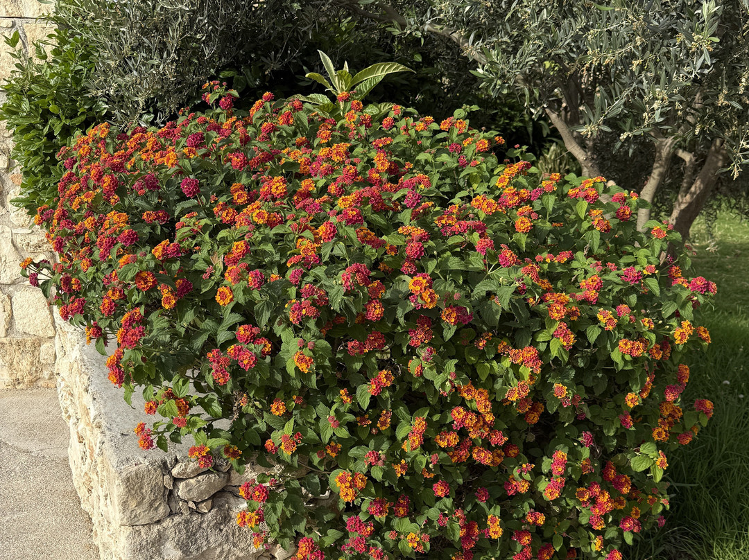 阿福罗狄蒂海滩酒店主图