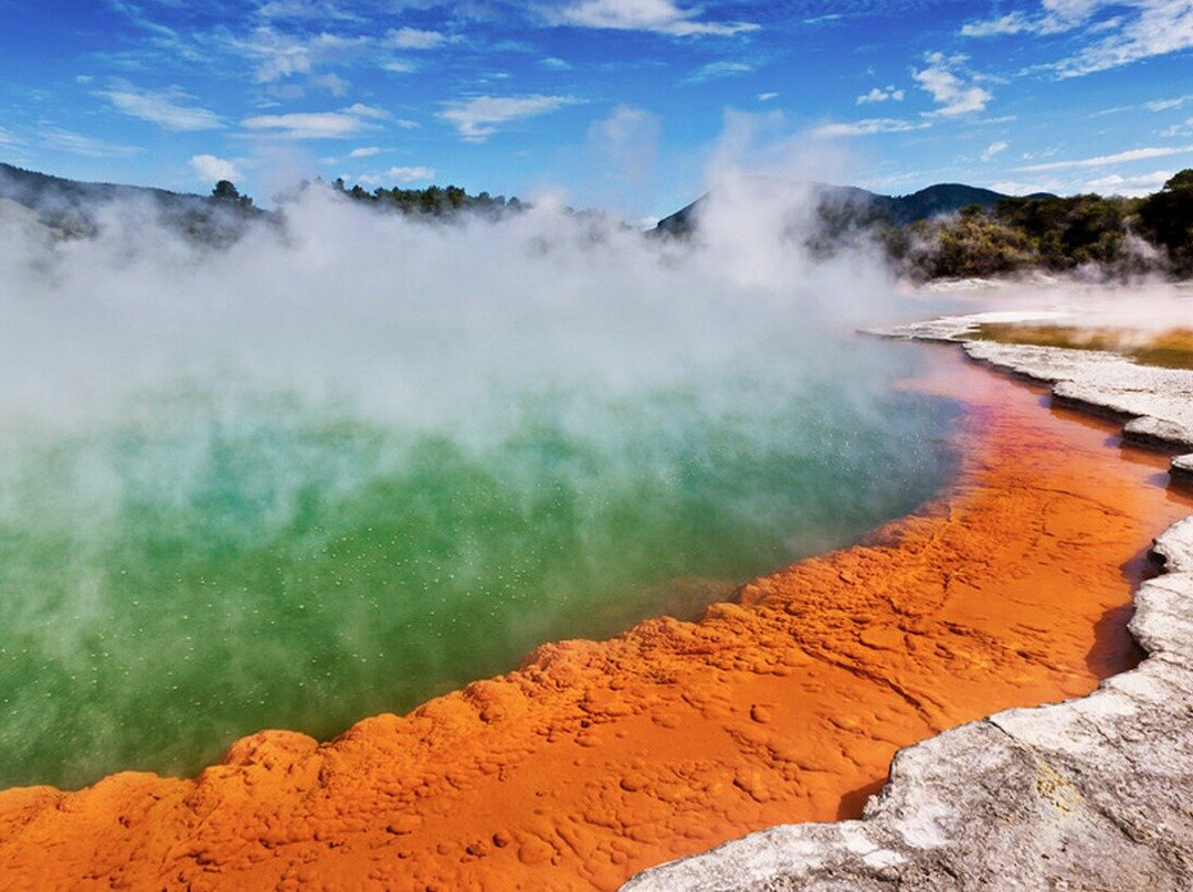 Ex Auckland: TRIPLE DEAL Wai O Tapu Geothermal, Redwood Forest & Blue Springs