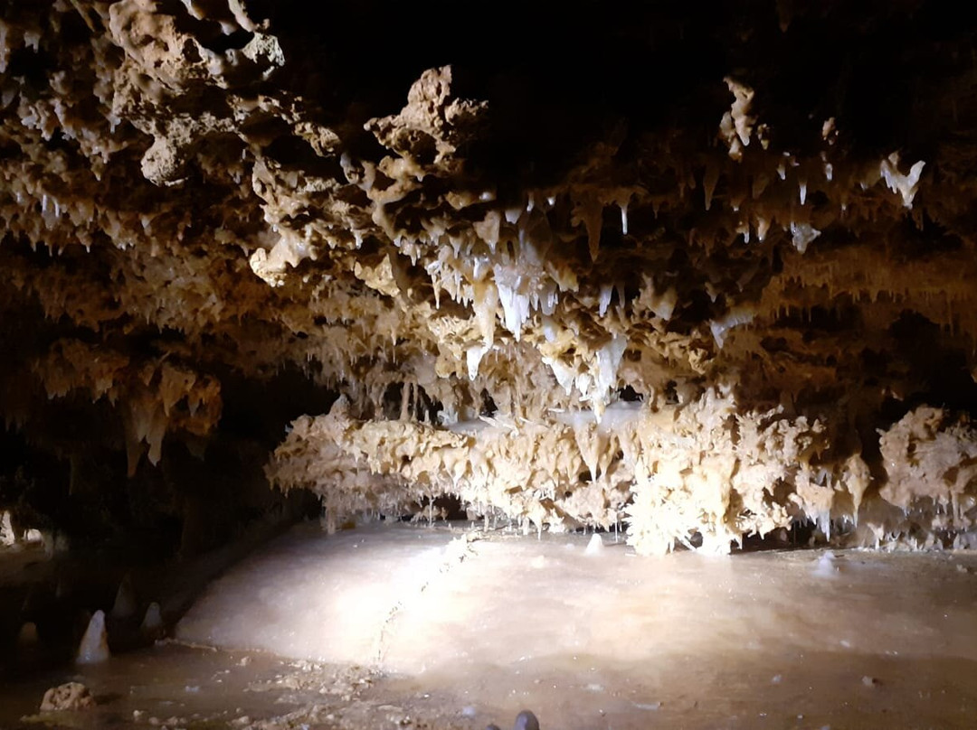 Grotte du Grand Roc景点图片