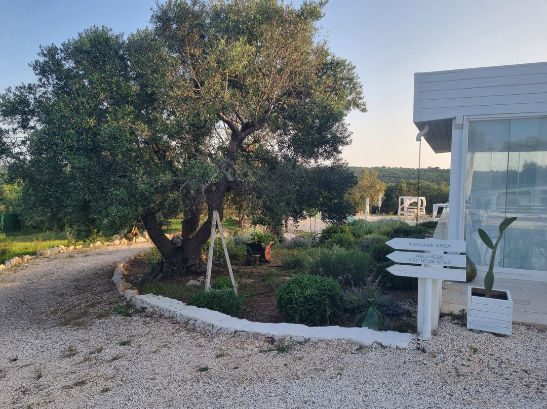 Petranima Wellness in Trulli主图