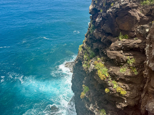 iGo Madeira Tours-马德拉群岛必去景点