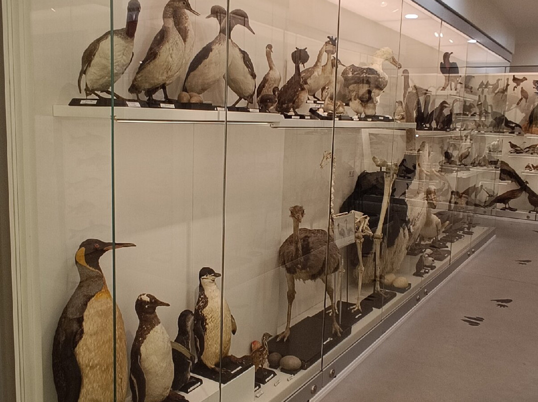 Vilnius University Zoological Museum-维尔纽斯必去景点