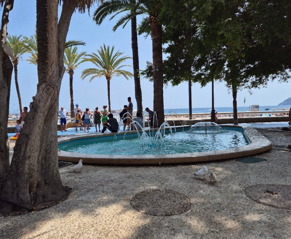 Parc d'Elx-贝尼多姆必去景点