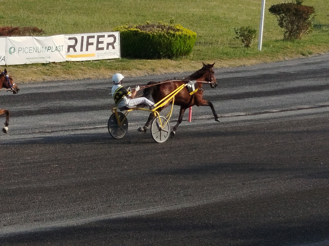 Ippodromo San Paolo-Montegiorgio必去景点