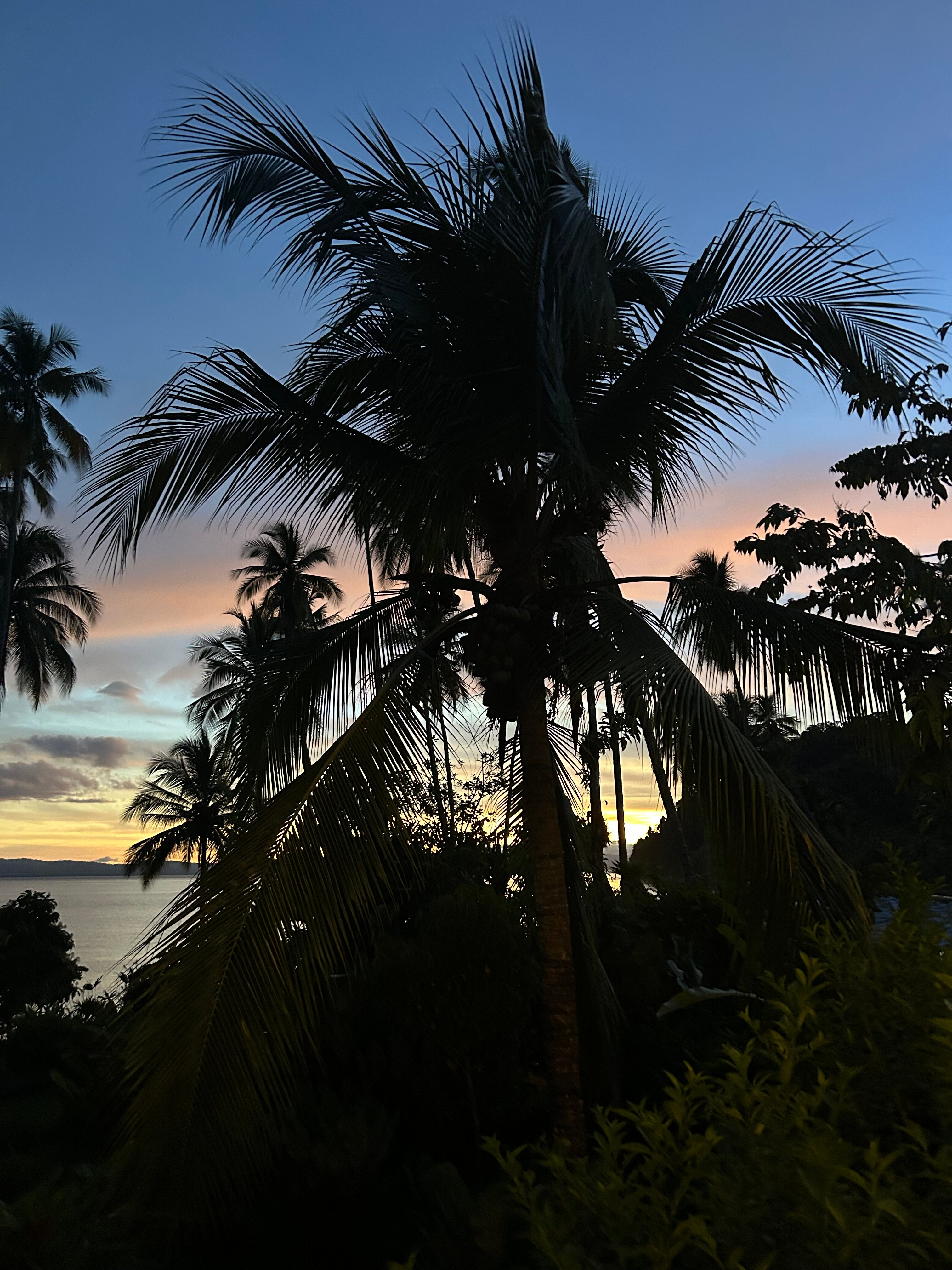 Playa Cativo Lodge-官方