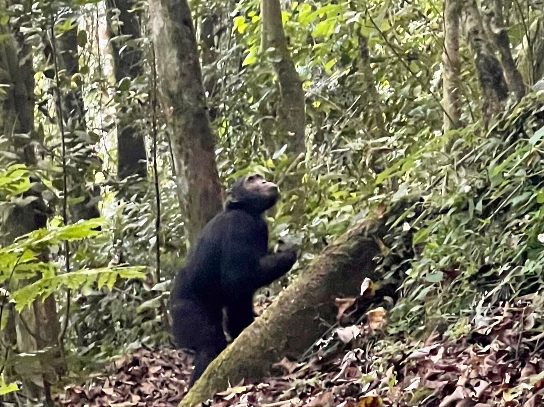 Explore RwandaTours-吉佳利必去景点