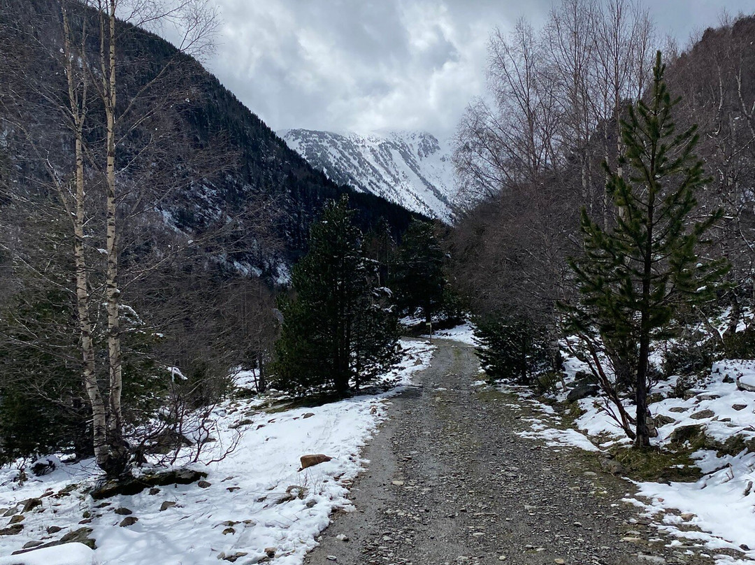 Sorteny Nature Reserve-Ordino必去景点