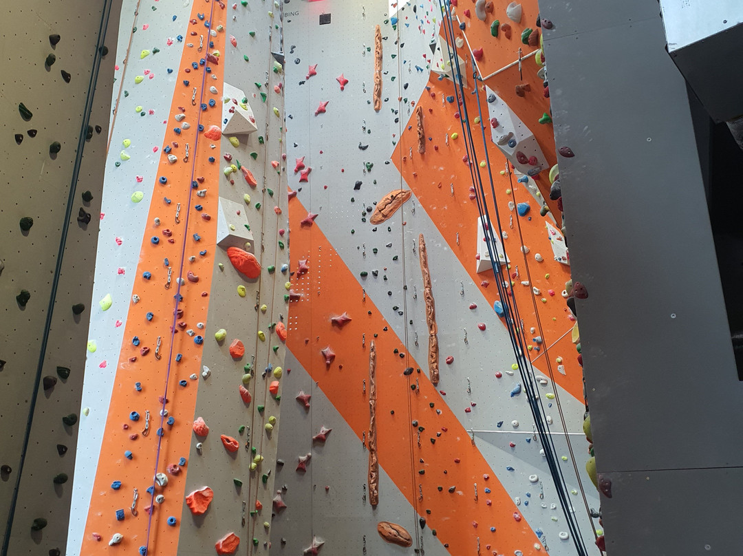 Ul Sport Climbing Wall