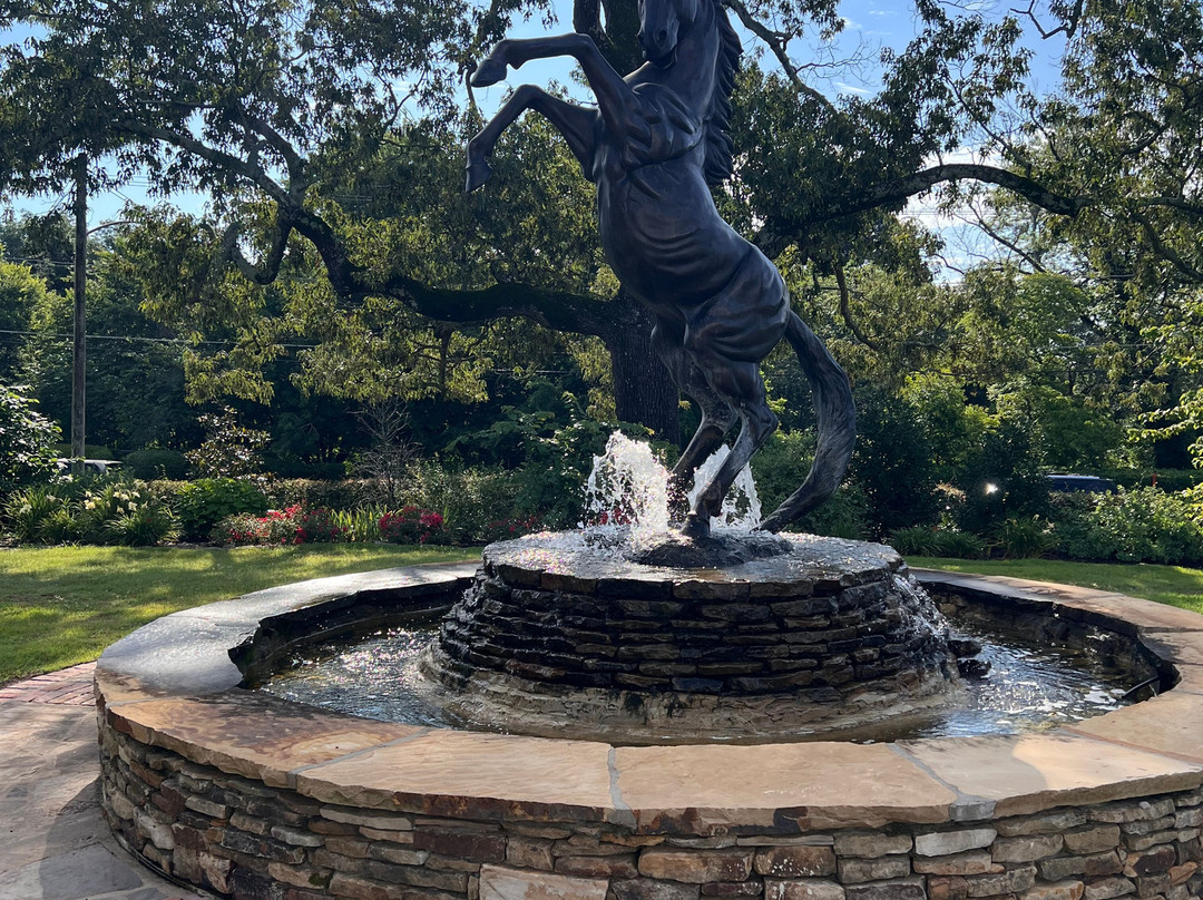 The Reserve at Hot Springs主图