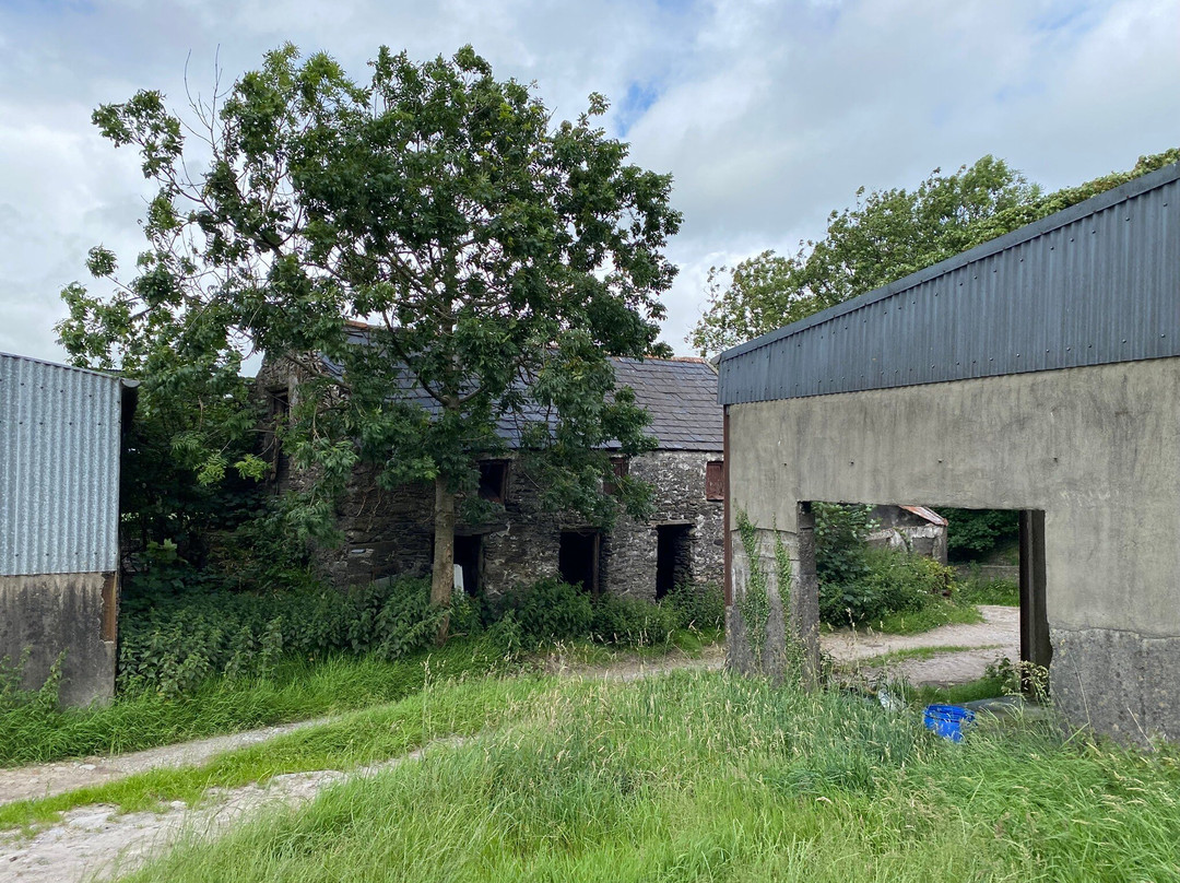 My Ireland Heritage Tours-Batterstown必去景点