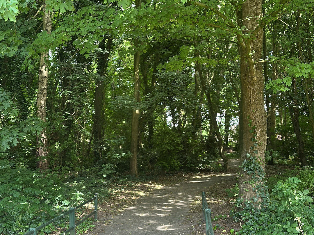 Heerenschoolbos-Katwijk必去景点