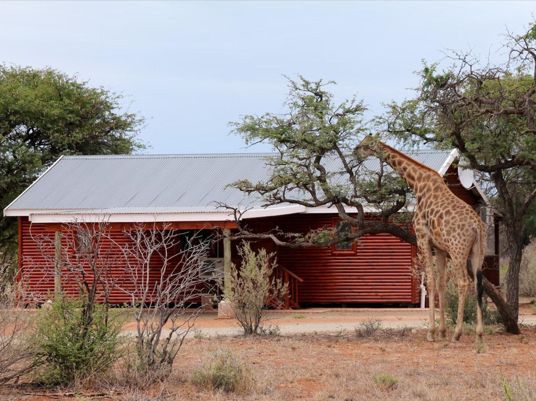 Mattanu Private Game Reserve