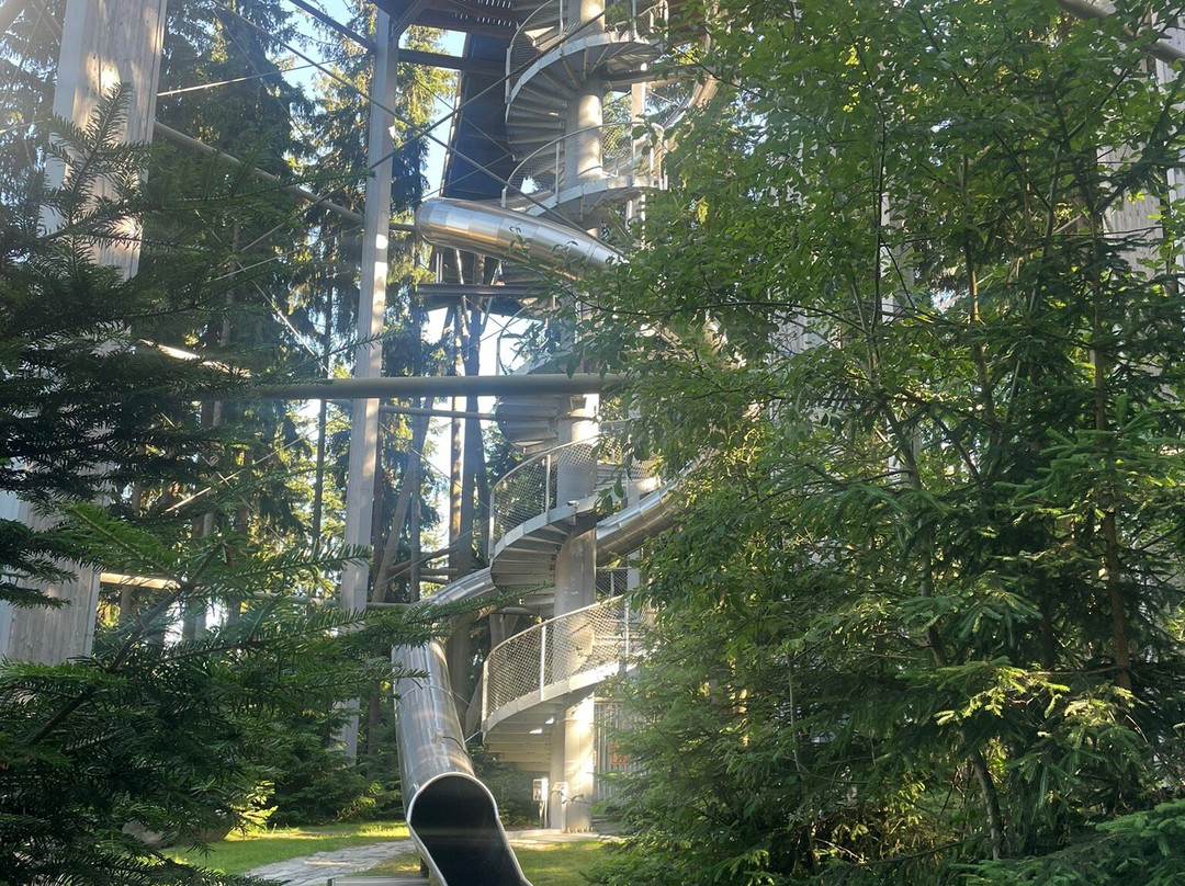 Treetop Walkway-利诺纳佛塔沃必去景点