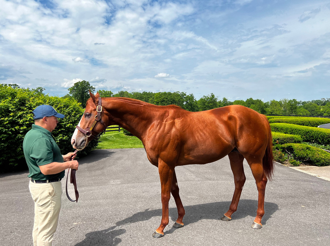 Airdrie Stud-Midway必去景点