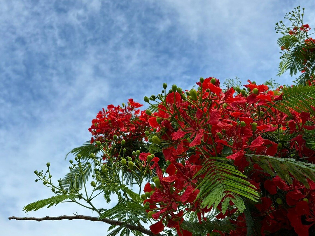 空叻玛荣水上市场-曼谷必去景点