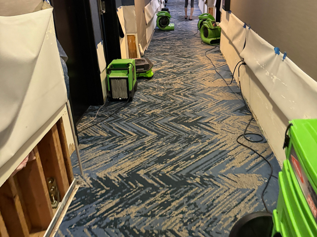 Cambria hotel & suites Minneapolis Maple Grove主图