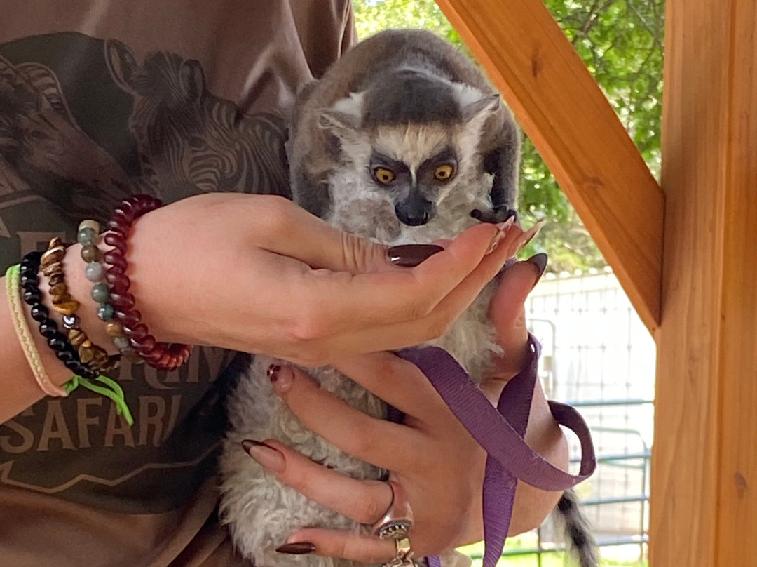 Eureka Springs Safari Park-Eagle Rock必去景点
