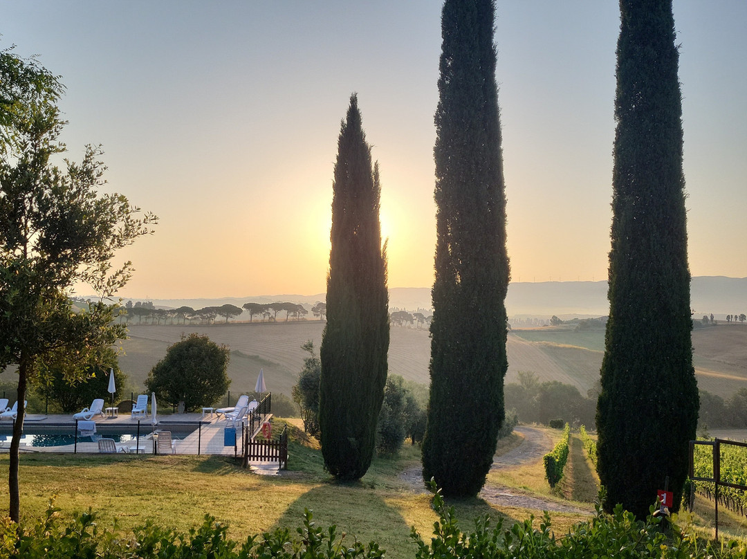 Agriturismo Cappellese主图