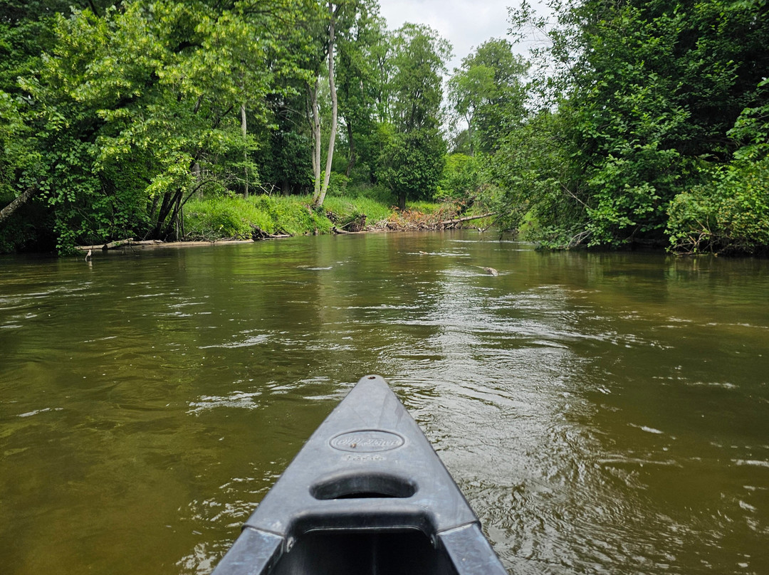 Pine River Paddlesports Center-Wellston必去景点