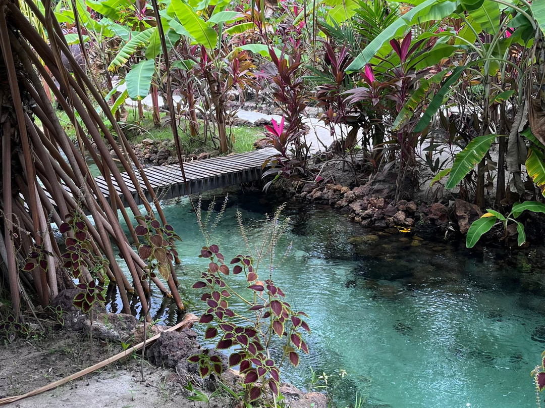 Tao Paradise-Pureza必去景点