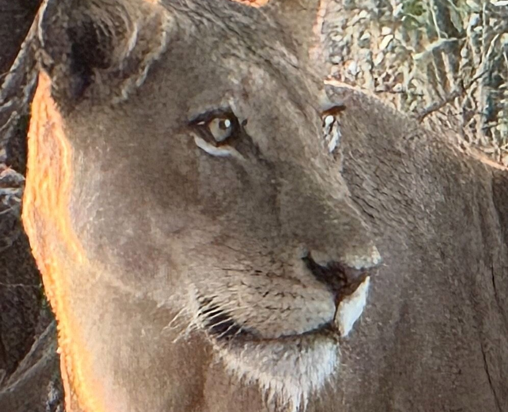 Famba Travel & Safaris-参宁必去景点