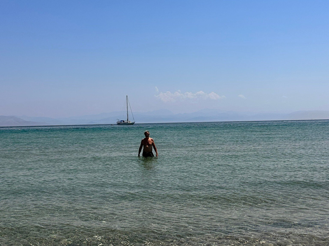 Romantica Leftis主图